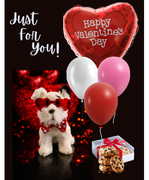 Puppy  love ❤️  Puppy love,cookies and balloons