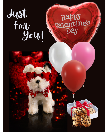Puppy  love ❤️  Puppy love,cookies and balloons