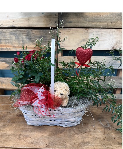 Puppy Love Rose & Jasmine Plant Basket plant basket