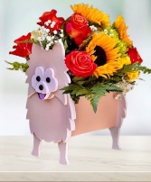Joyful Paws Celebration Bouquet  Flower Delivery 