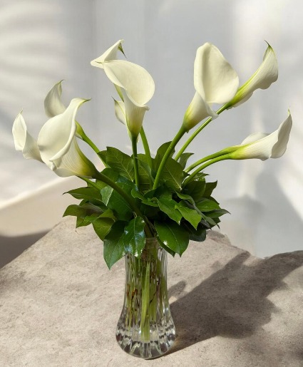Pure Calla Elegance Flower Arrangement