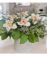 Pure Orchid Luxe Velvet box arrangement