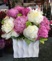 Pure Peonies Modern