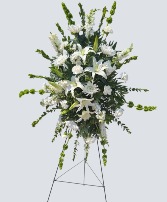 PURE SOLACE STANDING SPRAY FSN-PURE