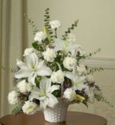 Pure Sympathy Basket 