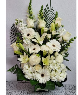 Pure white sympathy  Sympathy 