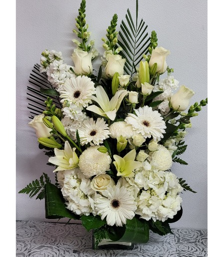 Pure white sympathy  Sympathy 
