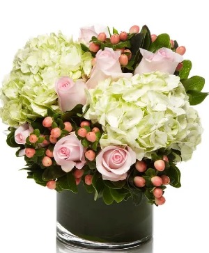 Purely Elegance  hydrangea arrangement