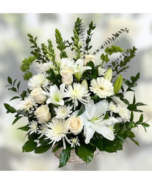 Purity Basket  