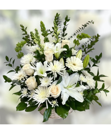 Purity Basket  