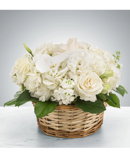 Purity Basket Arrangement