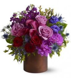 Purple Beauty 