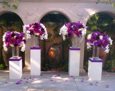 Purple Daze 
