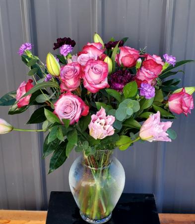 Purple Delight Roses