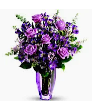 Purple dozen Dozen Roses