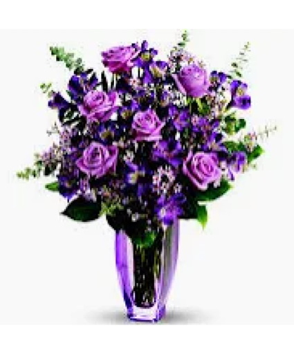 Purple dozen Dozen Roses