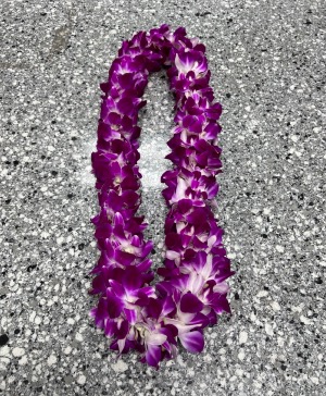 Purple Graduation Lei 