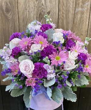 Purple Harmony 
