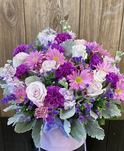 Purple Harmony 