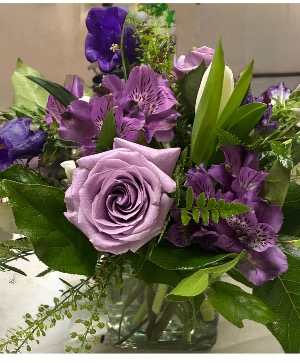 Purple haze  Mix