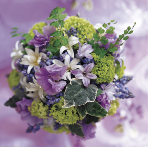purple love  