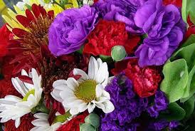 Purple Mixed Flower Bouquet Bouquet