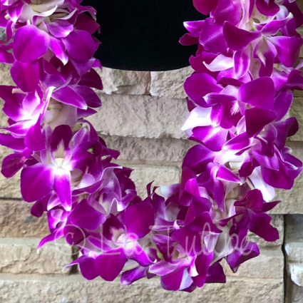 Graduation Purple Orchid Lei 