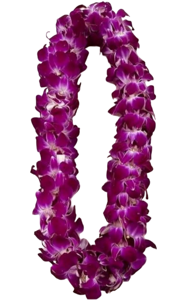 Purple Orchid Lei  in Whittier, CA | Rosemantico Flowers