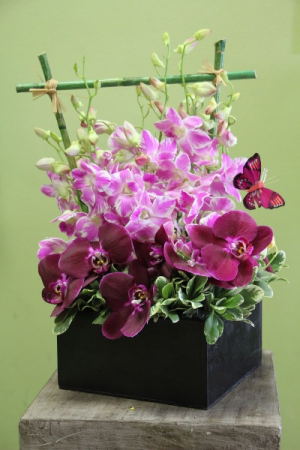 Purple Passion 