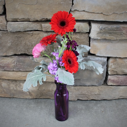 Purple Passion 