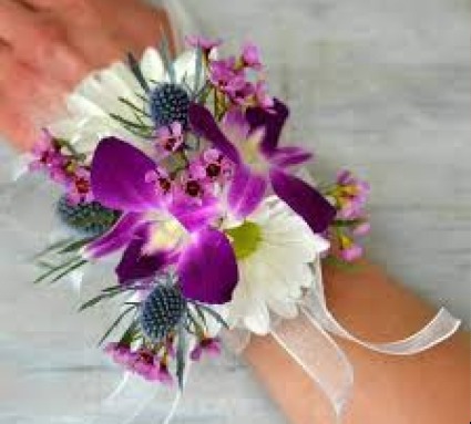 Purple Passion 