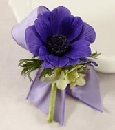 PURPLE PASSION BOUT WEDDING
