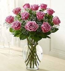 Purple Passion Roses 