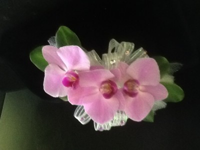 Purple Phalaenopsis Orchid Wrist Corsage $70      Boutonniere $15
