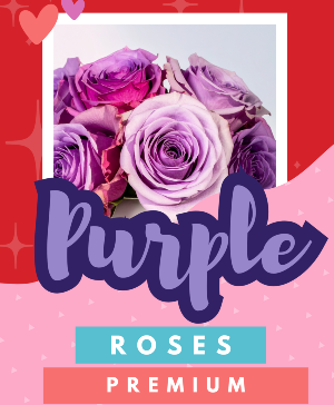 Purple Premium Roses Fresh Vase Arrangement