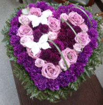 Purple with Butterflies Bleeding Heart