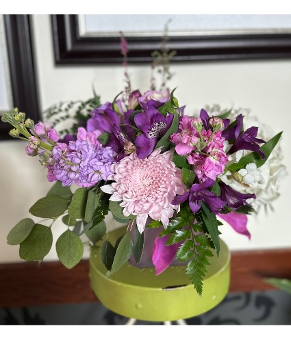 Purple Wonder 
