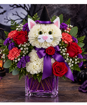 Purrs Under a Purple Moon Call Us for Faster Service & Daily Specials: (915) 303-8500 Text Us to Order Anytime: (915) 505-3708 Your trusted source for Flowers & Delivery in El Paso TX 