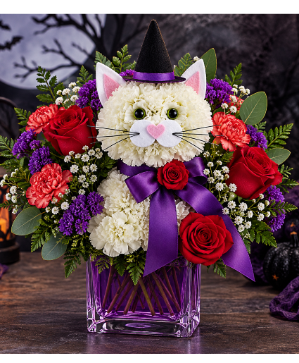 Purrs Under a Purple Moon Call Us for Faster Service & Daily Specials: (915) 303-8500 Text Us to Order Anytime: (915) 505-3708 Your trusted source for Flowers & Delivery in El Paso TX 