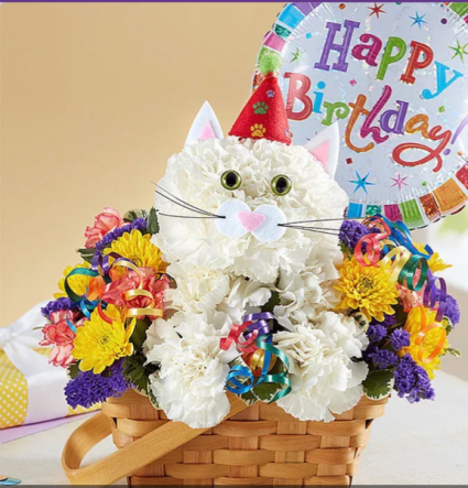 Puurfect Party Cat 