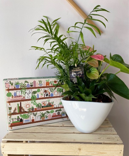 Puzzled me Plants 