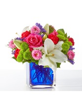 Quality Time V5677 Arrangement