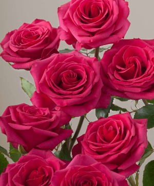 Queen Berry Rose Arrangement 