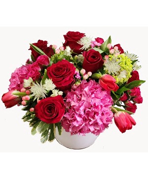 Queen of Hearts Cut Flowers