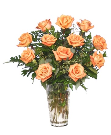 Orange Blossom Special Vase of Orange Roses in Chicago, IL | HONEY'S BUNCH