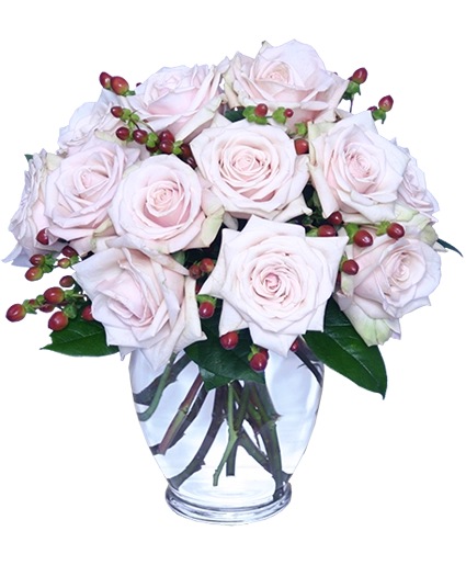 Rare Beauty Bouquet of Pale Pink Roses