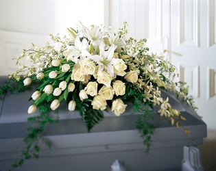 Radiance in White 