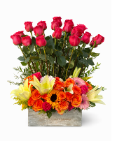 Radiant Romance Garden May Flowers