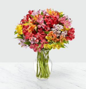 Rainbow Discovery Vase Arrangement