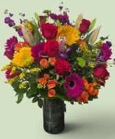 Rainbow MIx 